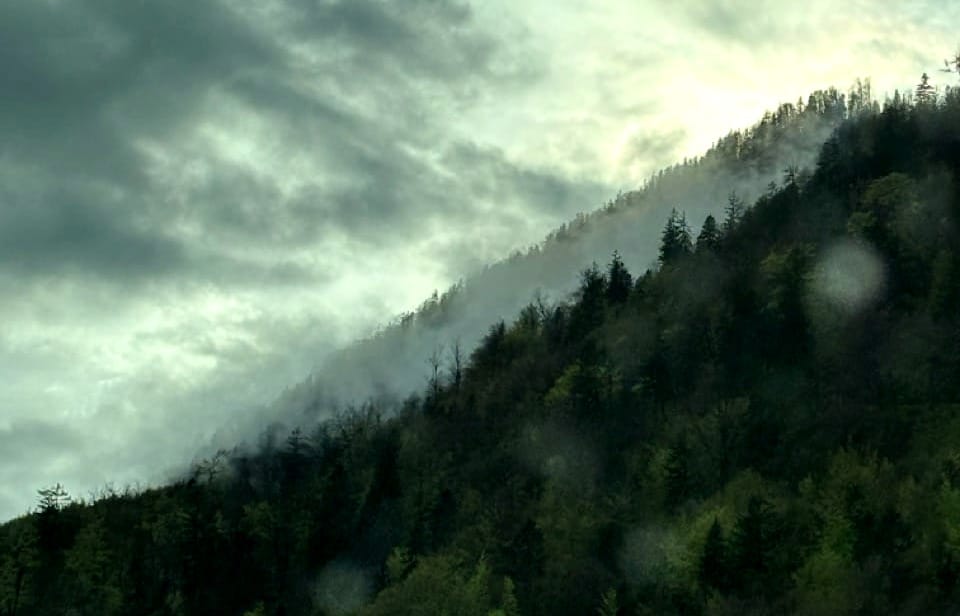 A close-up of old mountain, overgrown with forrest, shrouded in low clouds.