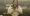Mariia takes a lift selfie. There's a text overlay that repeats the article message.
