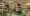 Mariia looks around in the bookshop.